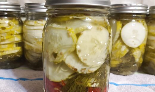Jars of Paula's dill pickles fresh from the kitchen, cucumber, onion, dill and a red pepper in the brine